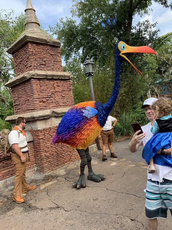 Kevin at Animal Kingdom