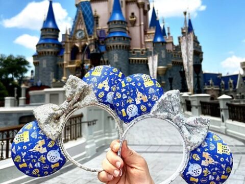 Image for WDW Parks Icons Inspired Mouse Ears
