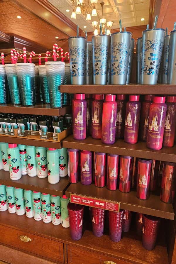 Magic Kingdom Starbucks Merchandise