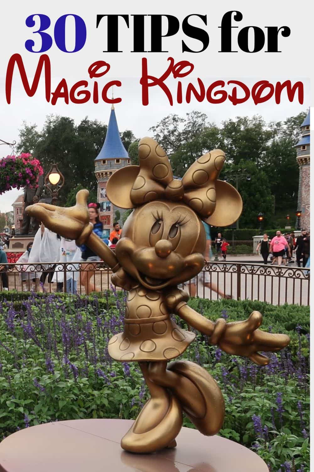 30 Magic Kingdom Tips You Will Want to Know