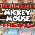 BEST Mickey Mouse Treats at Disney World