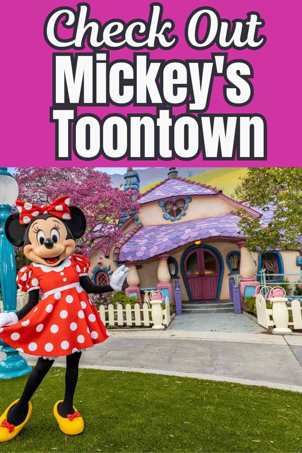 Check Out Mickey's Toontown in Disneyland