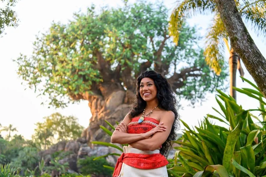 Moana Meet & Greet at Animal Kingdom