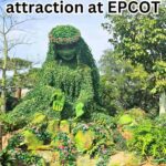 Moana attraction at EPCOT