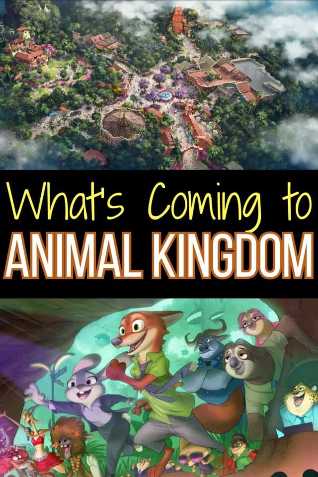 NEW Animal Kingdom Attractions In Disney World - When Is The New Animal Kingdom Coming Out