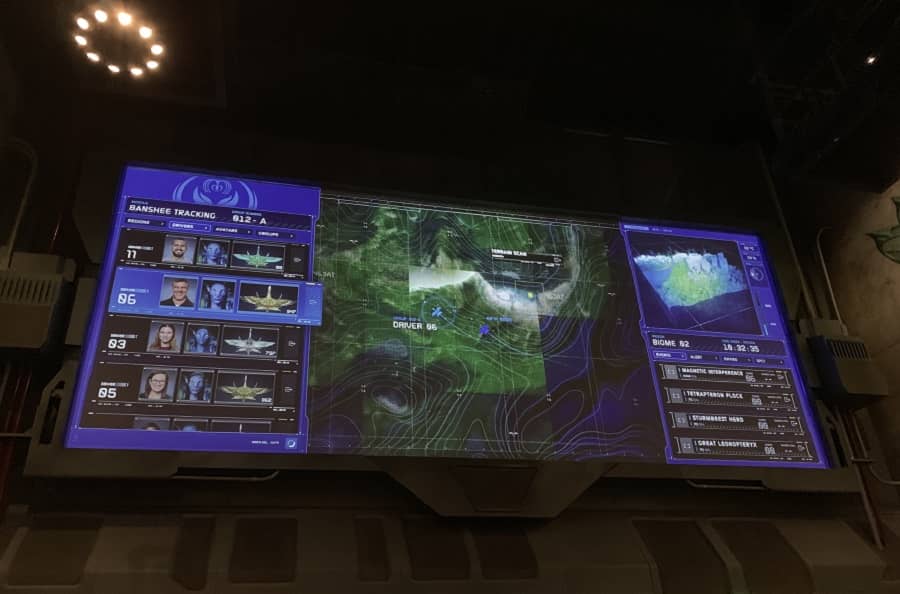 Flight of Passage Personal Avatar