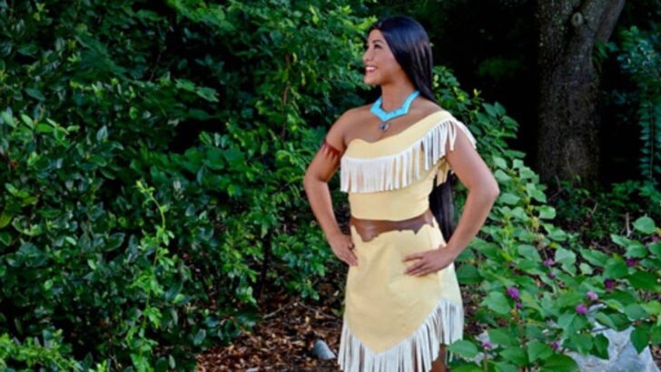 Disney Pocahontas