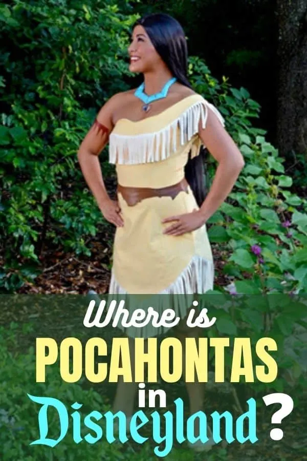 Plus size pocahontas