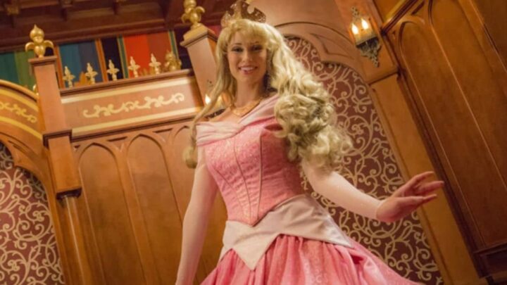 Princess Aurora at Disney