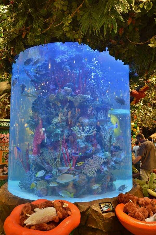 Rainforest Cafe Aquarium