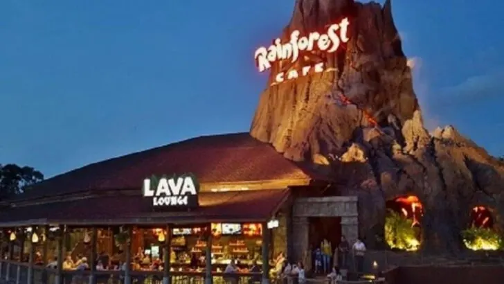 Rainforest Cafe Disney Springs at Night