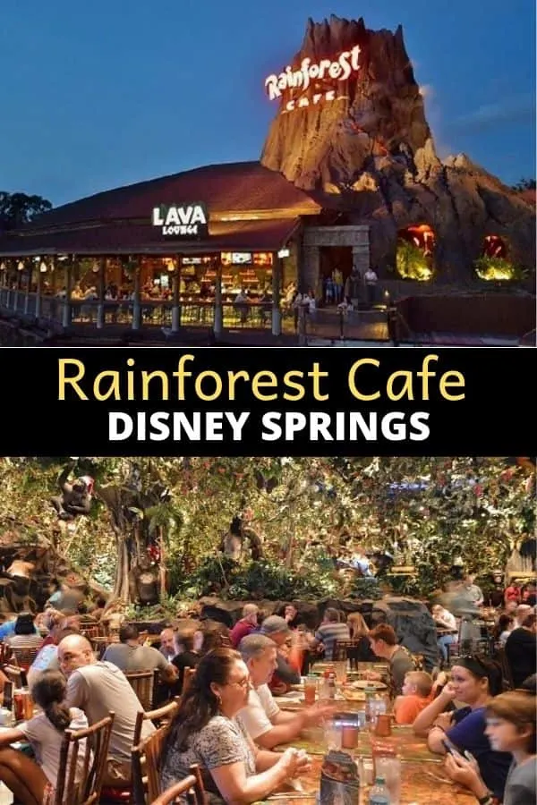 Rainforest Cafe Disney Springs