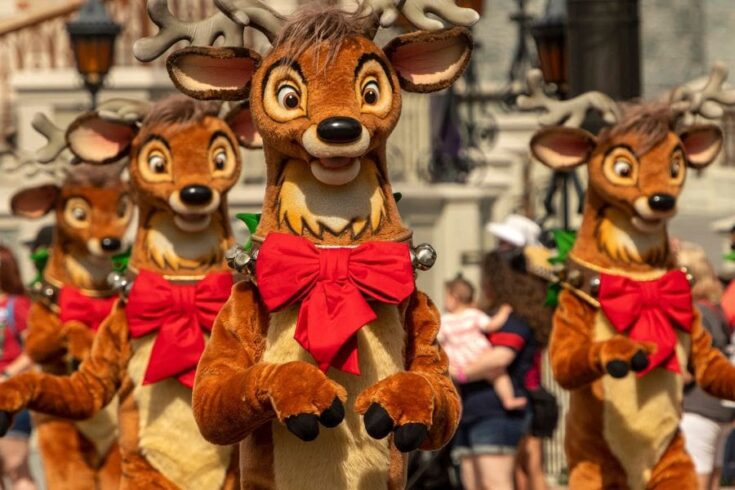 Disney Christmas Parade at Magic Kingdom