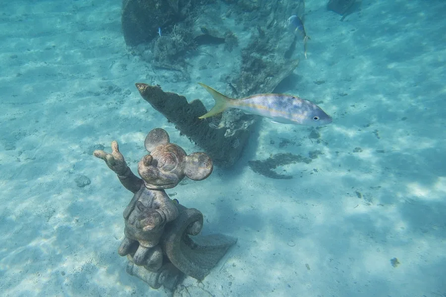 Snorkling at Castaway Cay