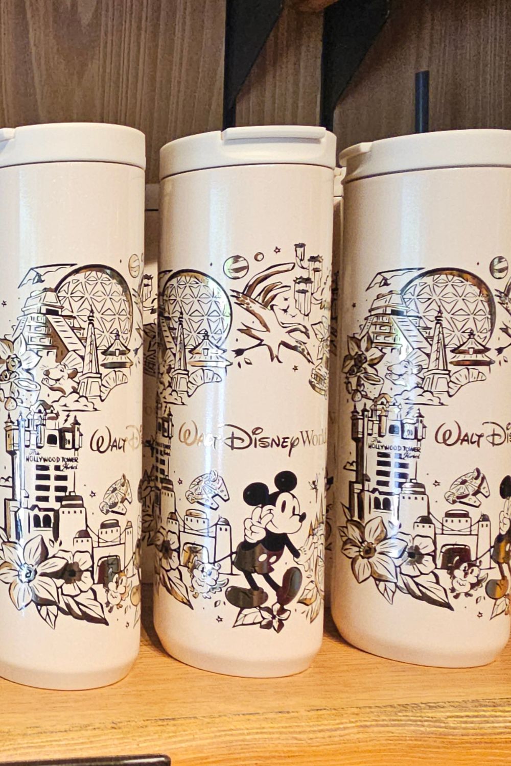 Disney World 2026 Starbucks Tumbler